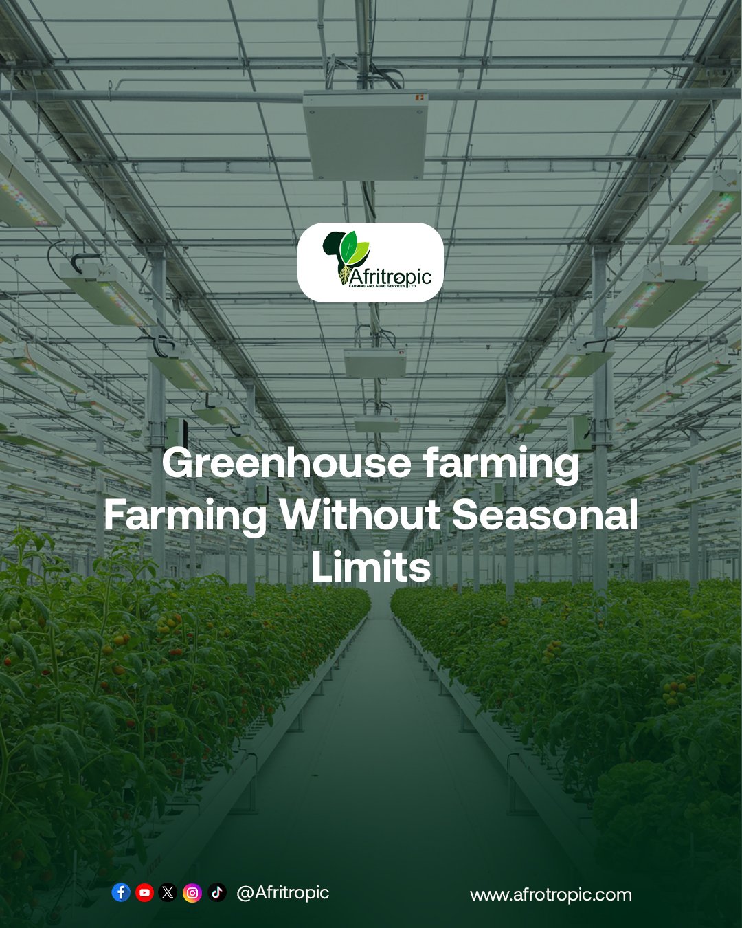 Greenhouse Farming