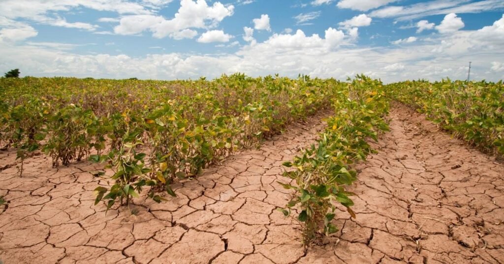 Climate Consideration