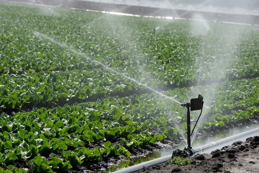 Water Management