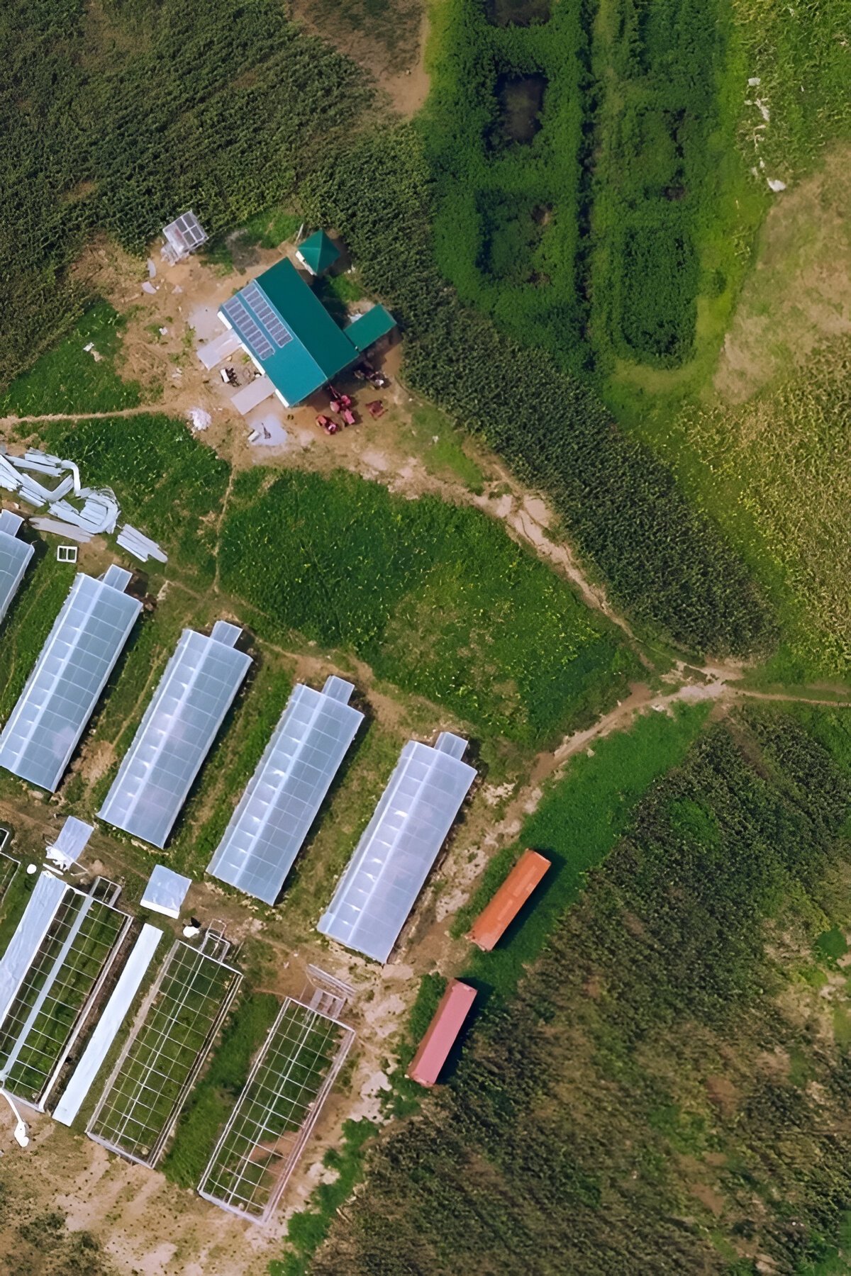 greenhouse farming in nigeria