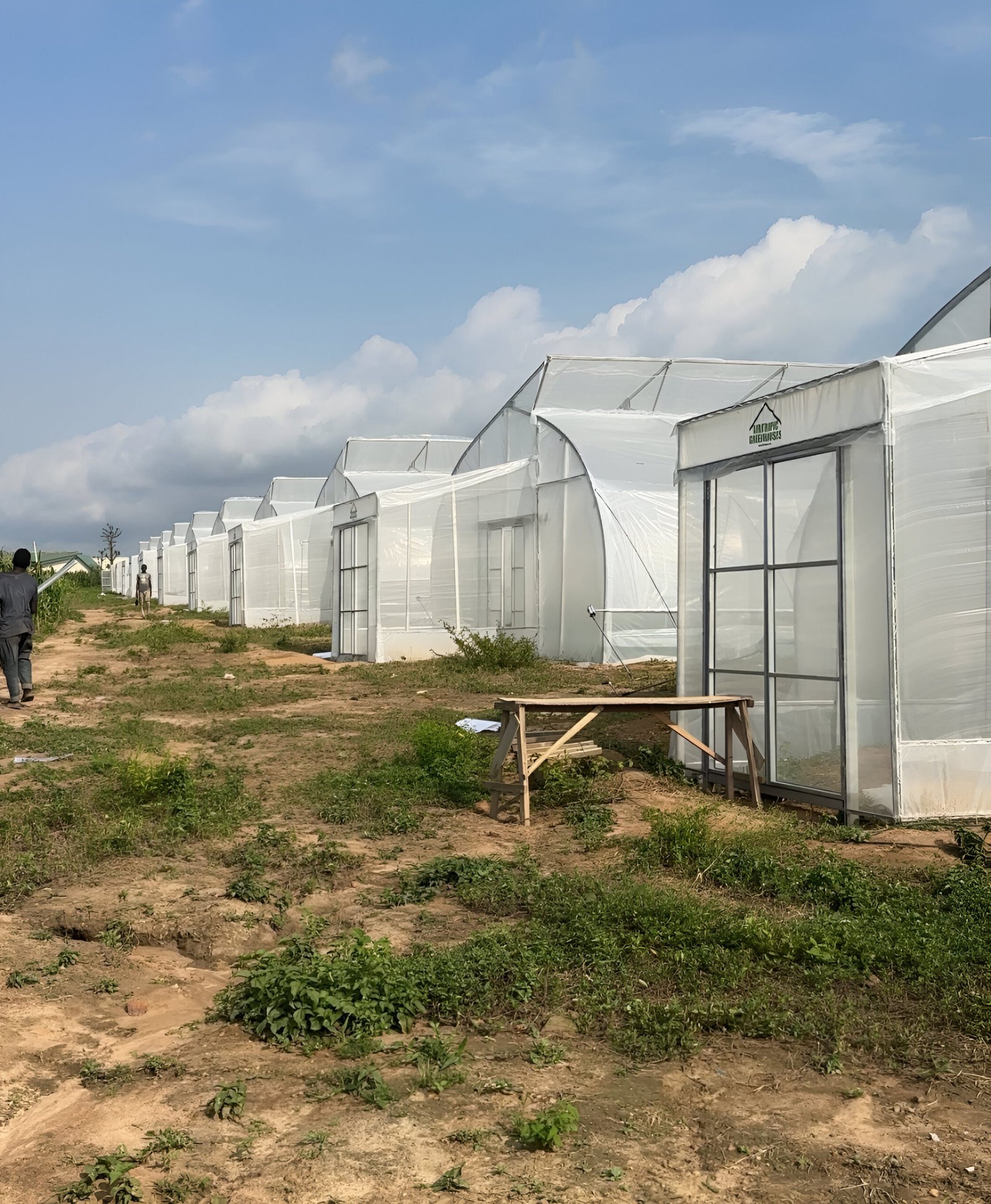 greenhouse company in nigeria
