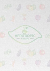 Afritropic-Seeds-Catalog-.pdf